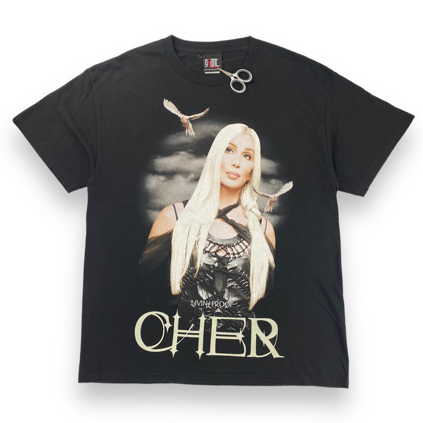 2004 Cher "The Farewell Tour" t-shirt